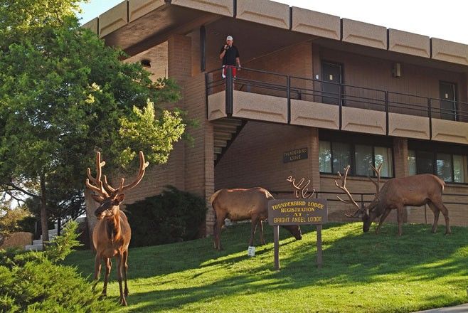 Kachina Lodge Grand Canyon Εξωτερικό φωτογραφία